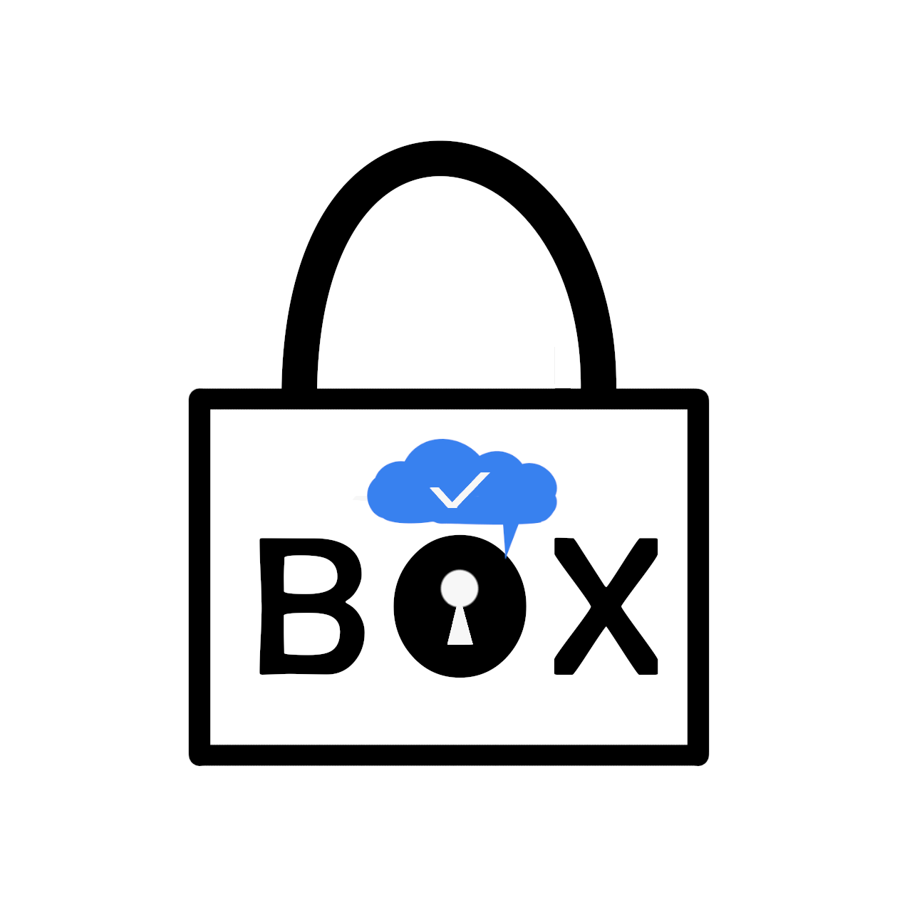 Secure Software Development